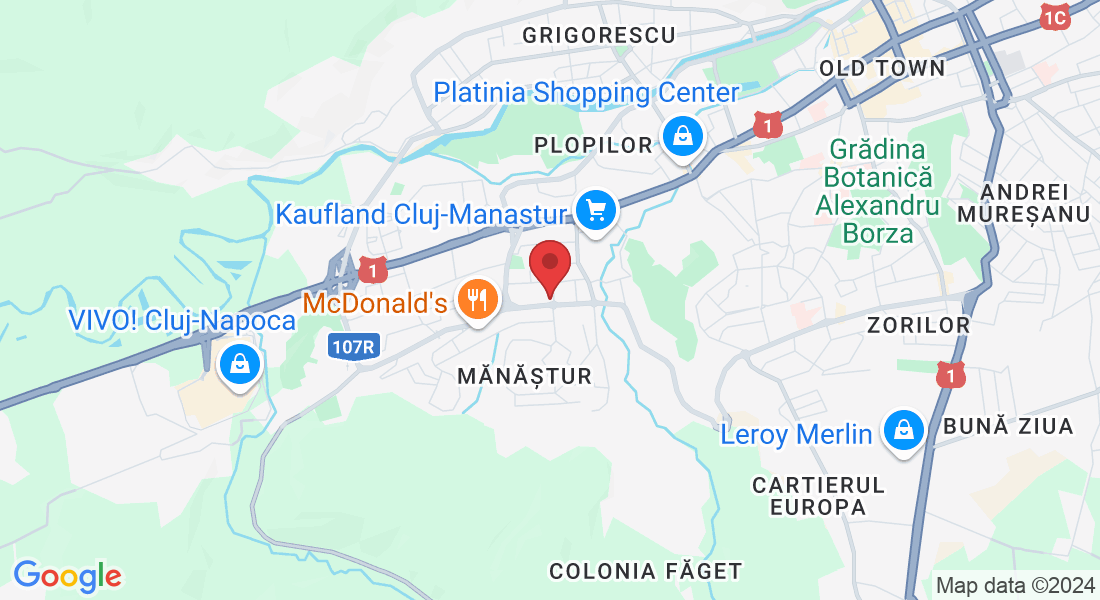 Strada Izlazului 10, Cluj-Napoca 400655, Romania