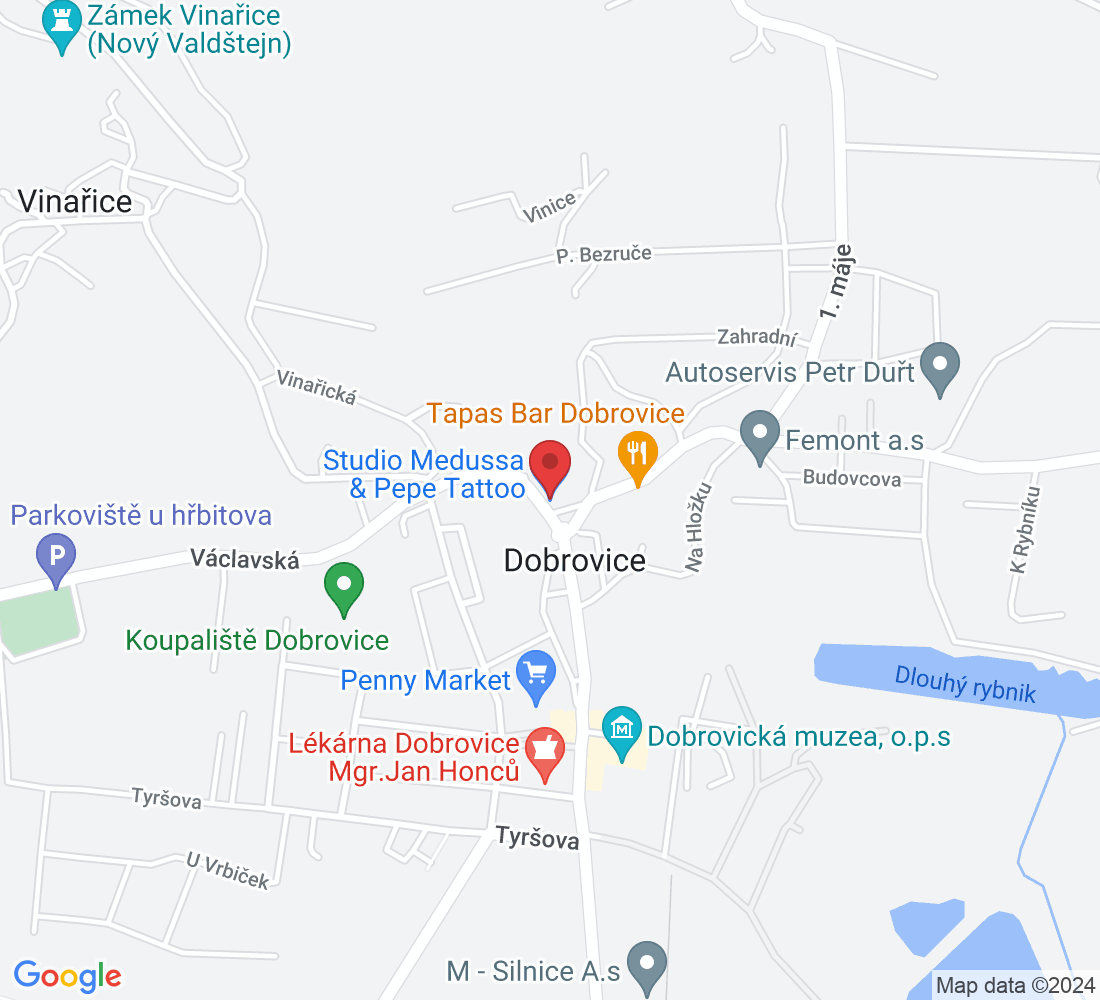 Palackého nám. 63, 294 41 Dobrovice, Česko