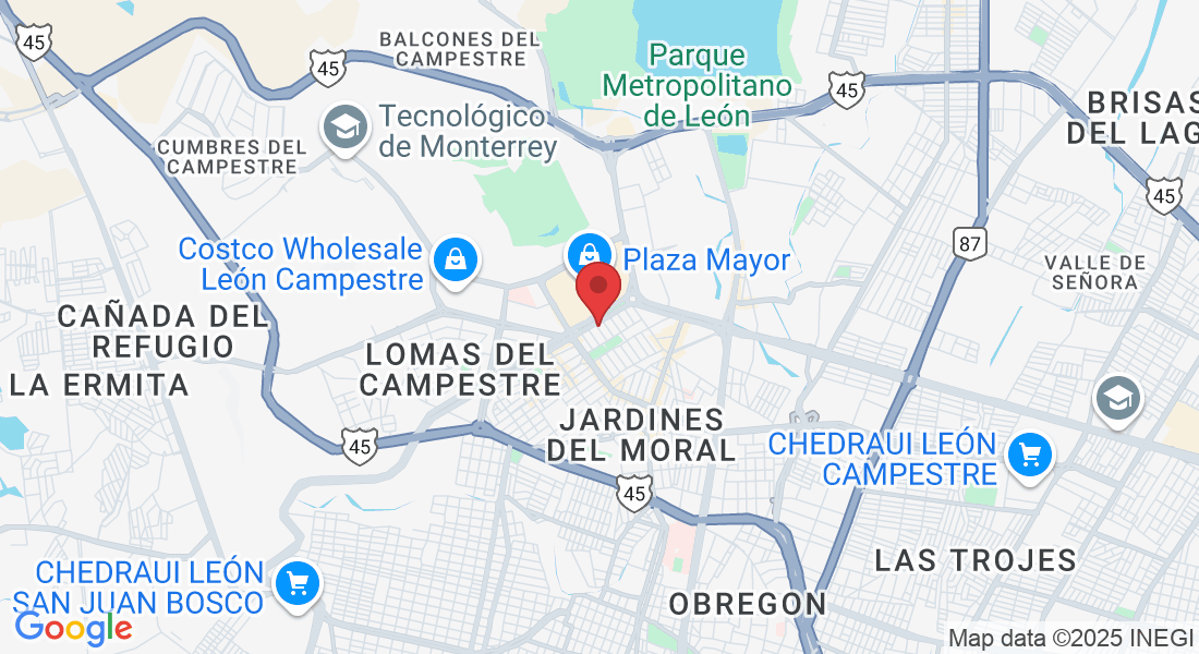 Valle de Bravo 222, Valle del Campestre, 37150 León de los Aldama, Gto., México
