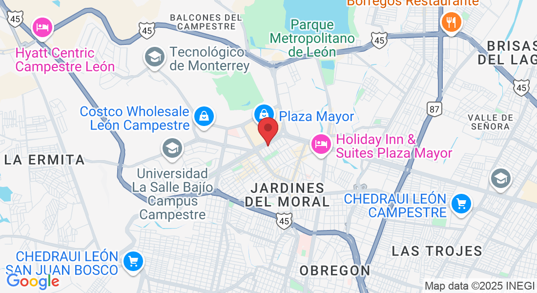 Valle de Bravo 222, Valle del Campestre, 37150 León de los Aldama, Gto., México