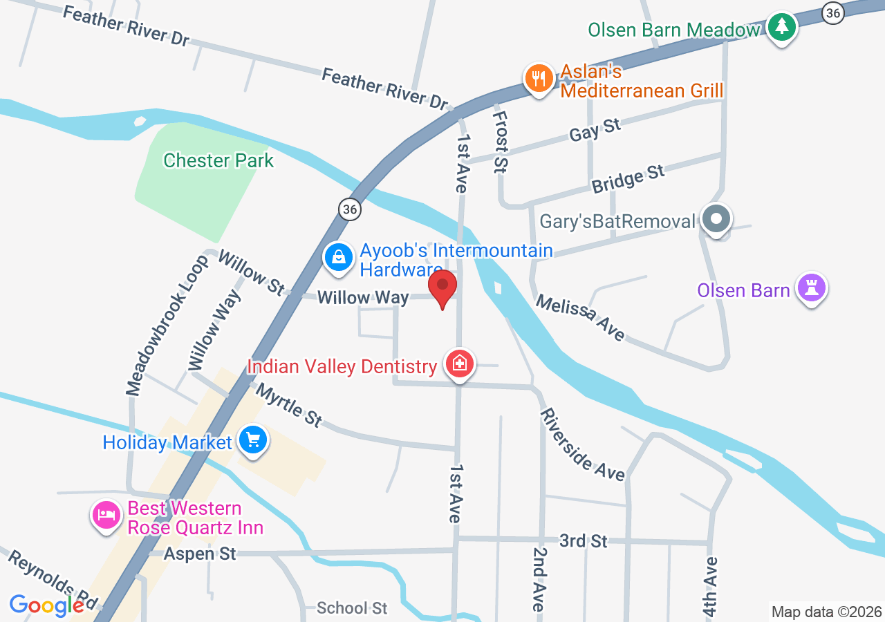 250 1st Ave, Chester, CA 96020, USA