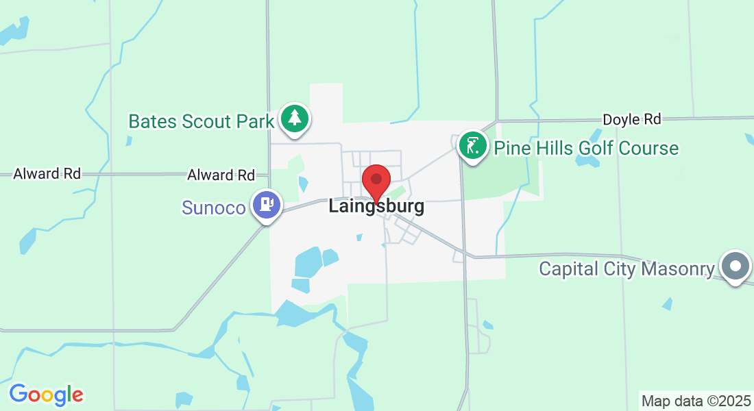 Laingsburg, MI 48848, USA