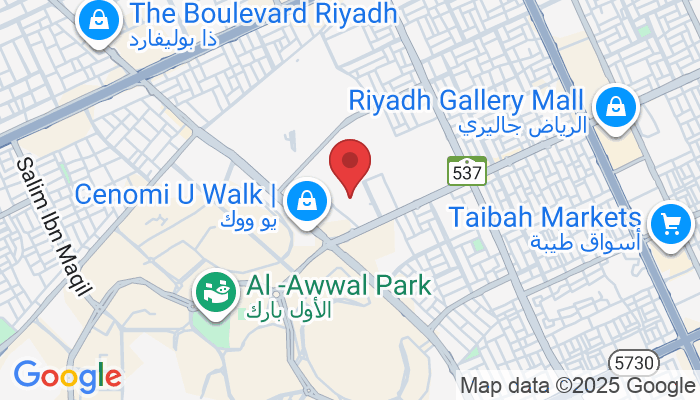 Imam Saud Ibn Abdul Aziz Road, وادي المعيدن، Street, Unit 4, الرياض 12382, Saudi Arabia
