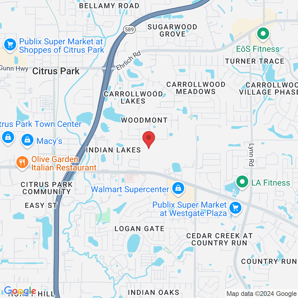 Tampa, FL 33625, USA
