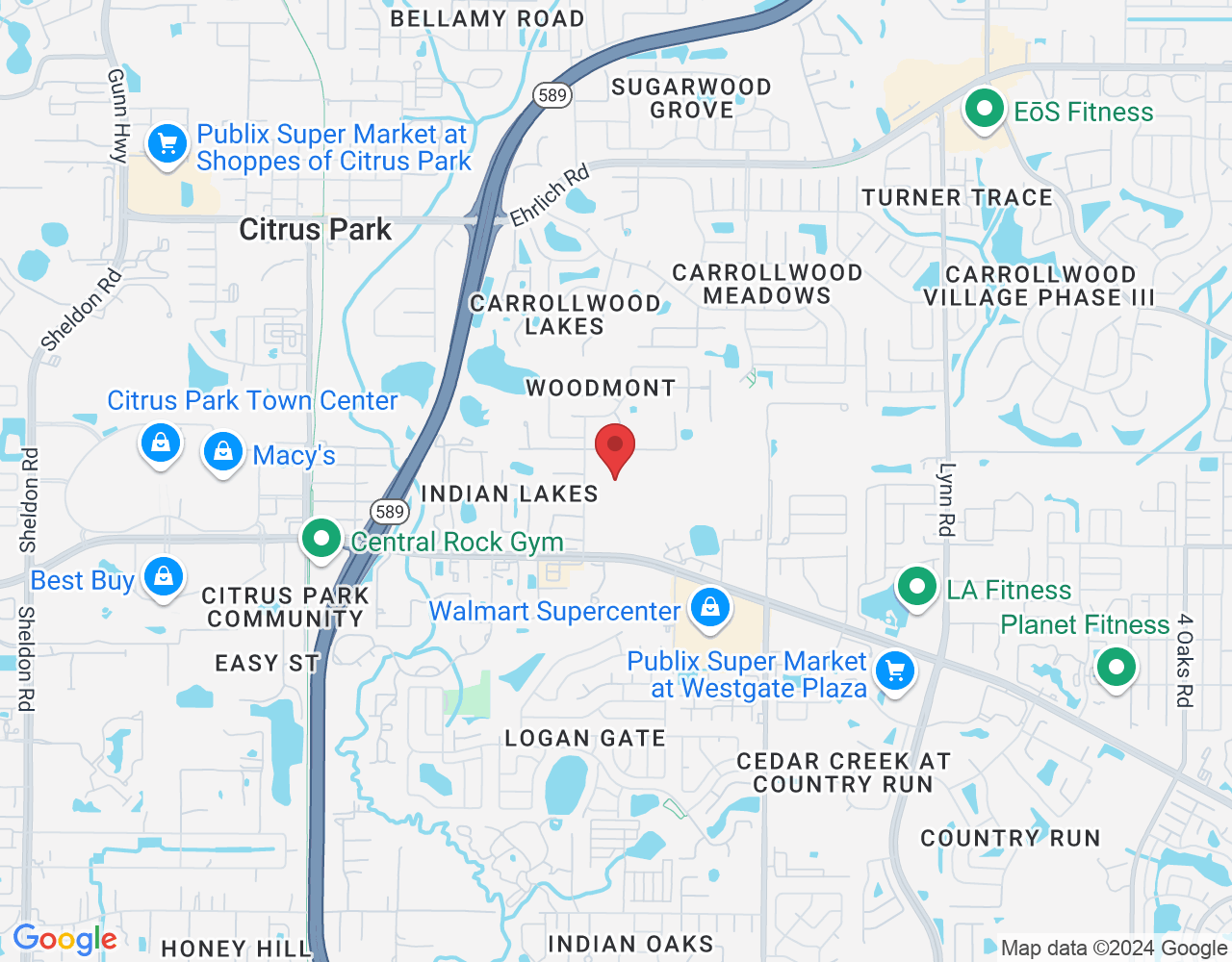 Tampa, FL 33625, USA