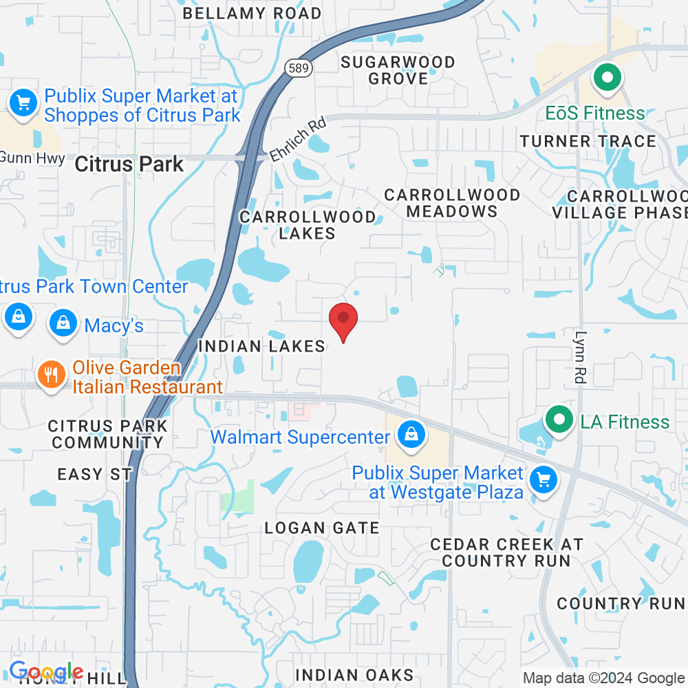 Tampa, FL 33625, USA