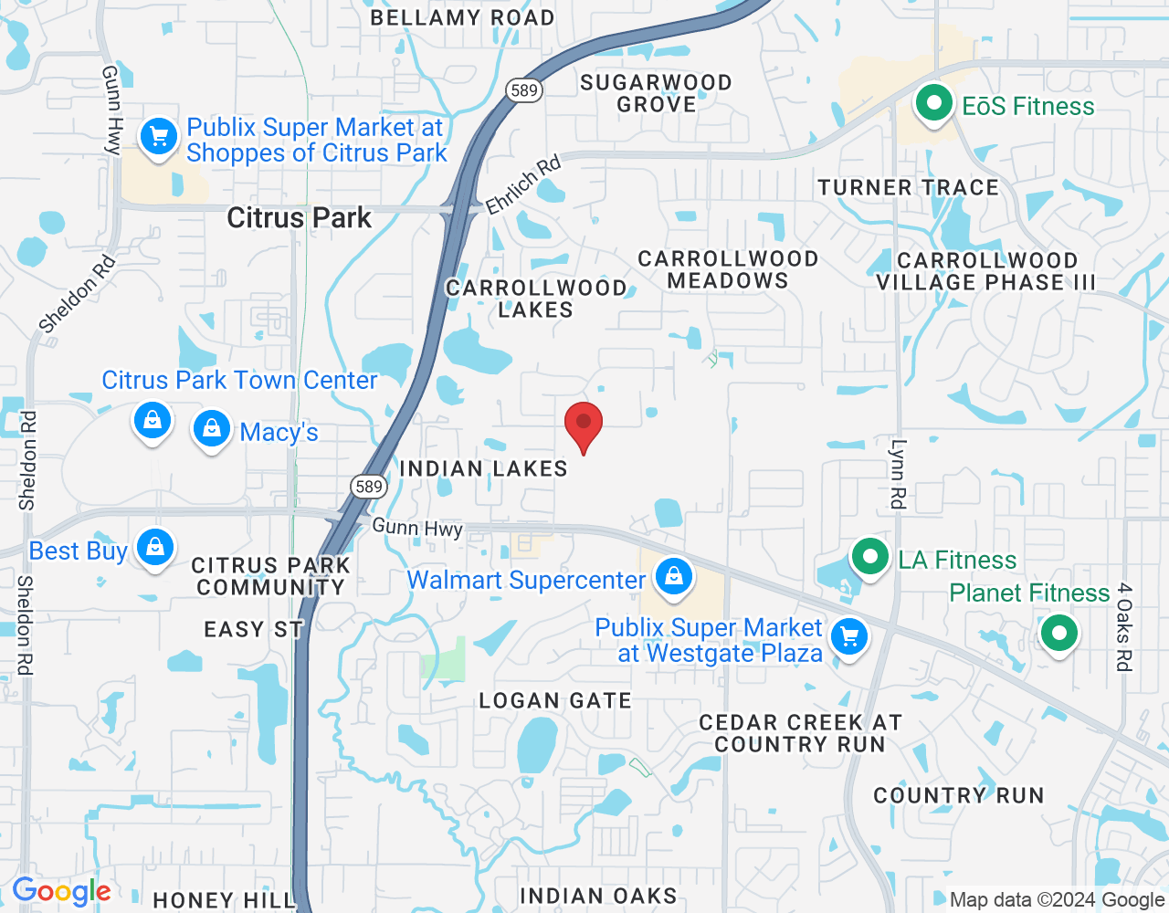 Tampa, FL 33625, USA