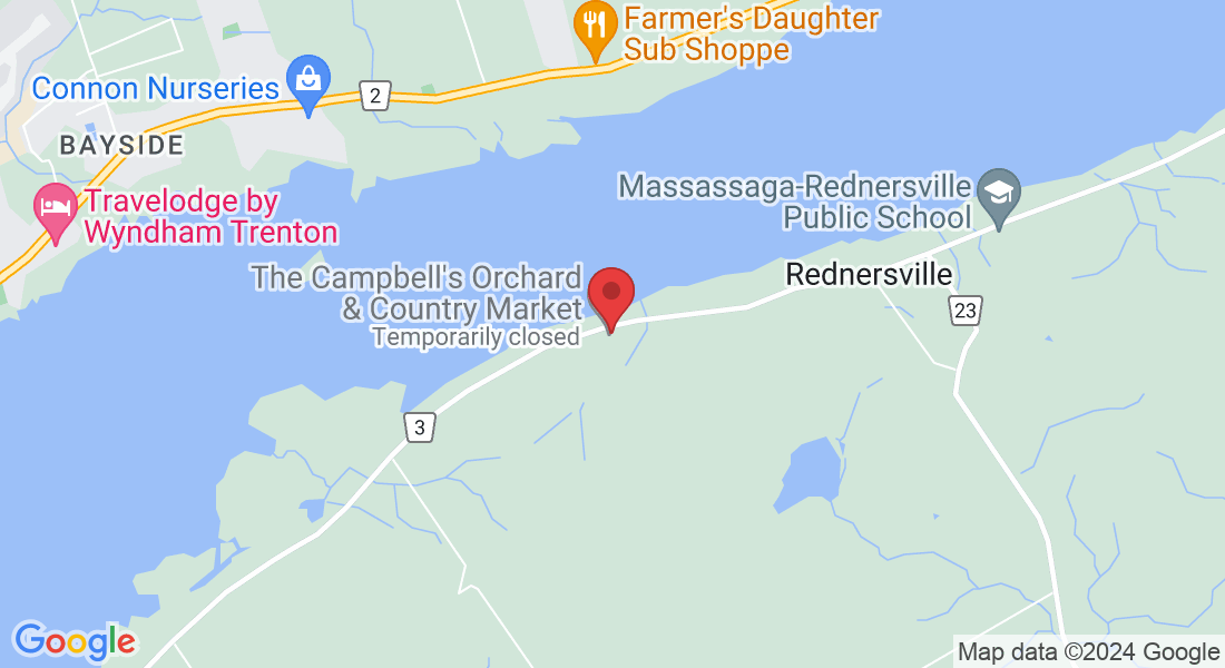 1633 County Rd 3, Carrying Place, ON K0K 1L0, Canada