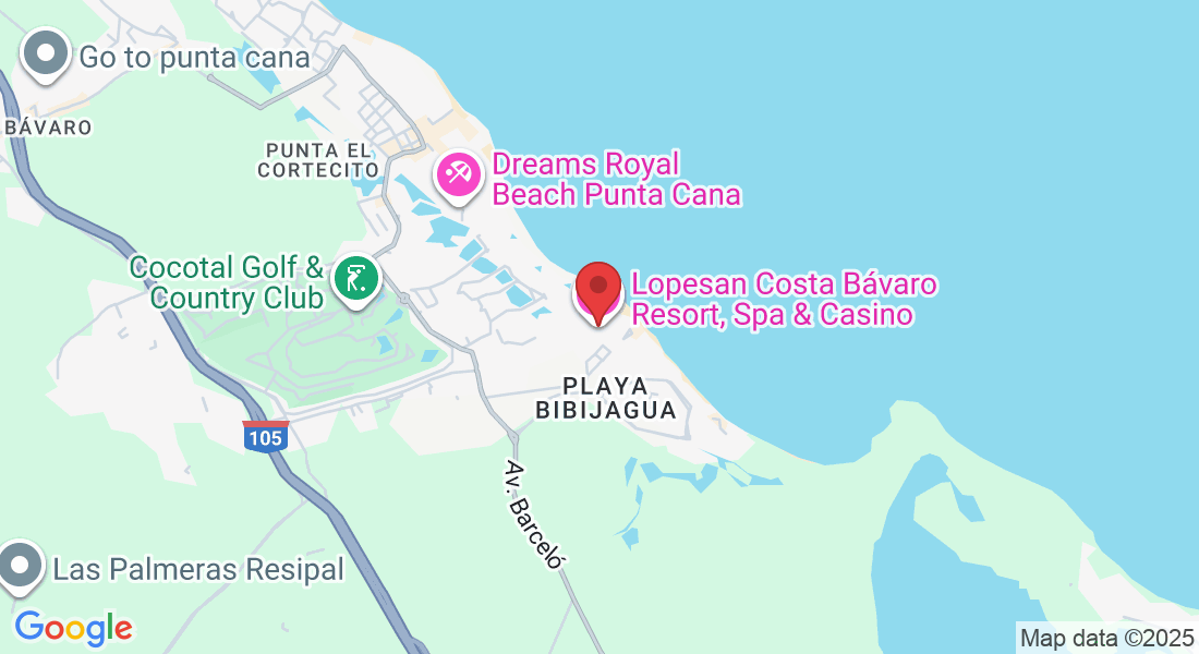 Bavaro Beach, Punta Cana 23301, Dominican Republic