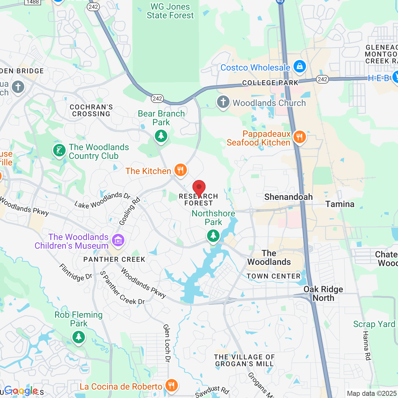3000 Research Forest Dr, The Woodlands, TX 77381, USA