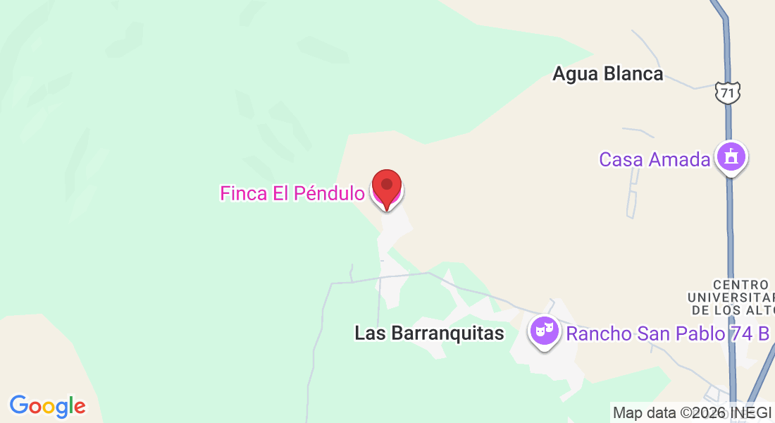 Camino al Saucillo 861, 47600 Tepatitlán de Morelos, Jal., Mexico