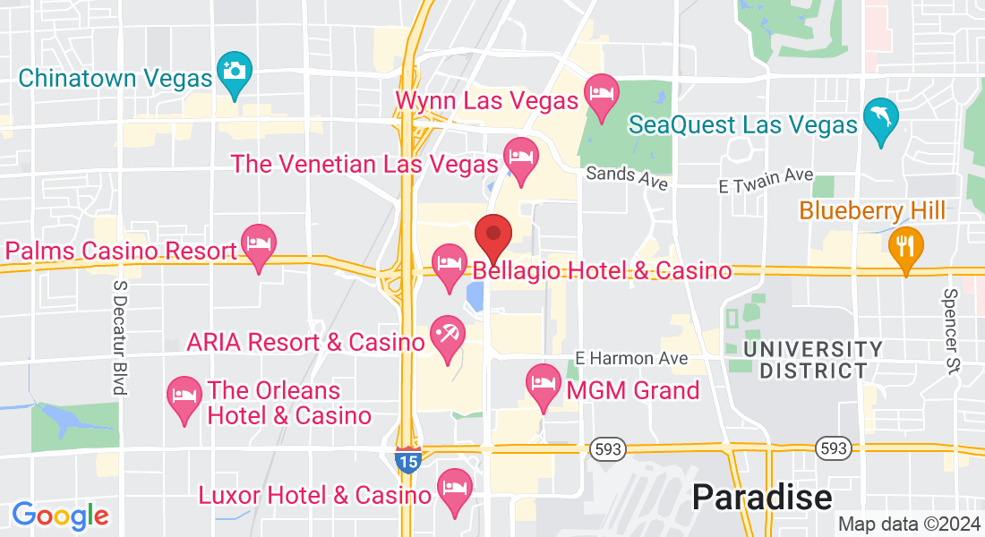 3595 S Las Vegas Blvd, Las Vegas, NV 89109, USA
