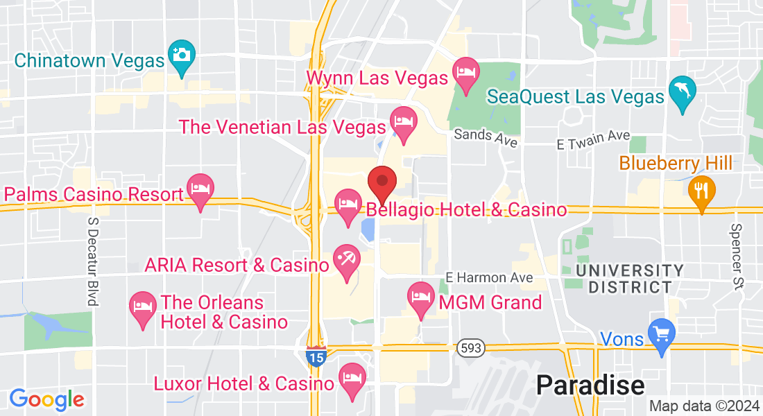 3595 S Las Vegas Blvd, Las Vegas, NV 89109, USA