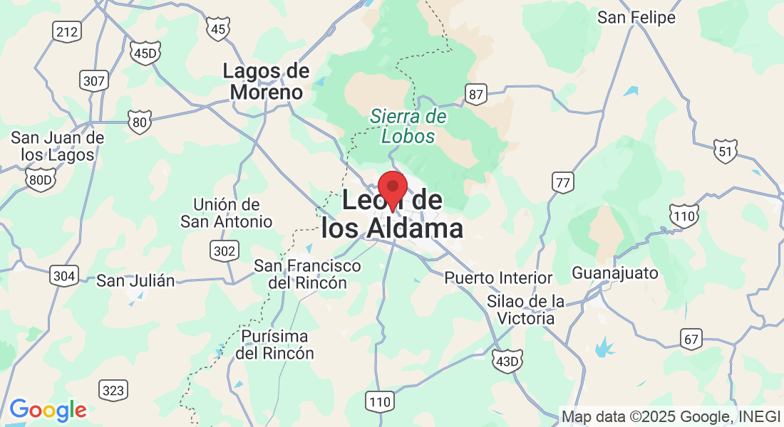 León de los Aldama, Gto., México