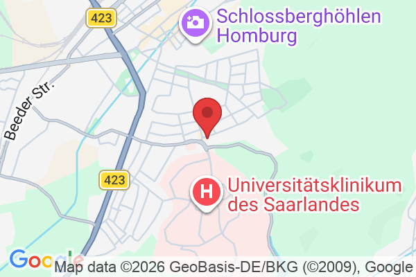 Ringstraße 80, 66424 Homburg, Deutschland