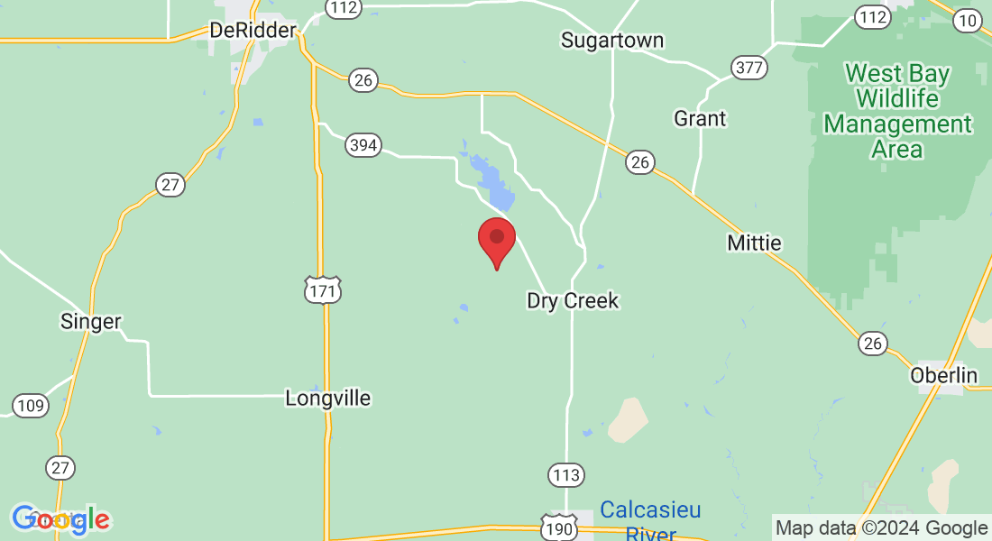 1909 Greentown Rd, DeRidder, LA 70634, USA