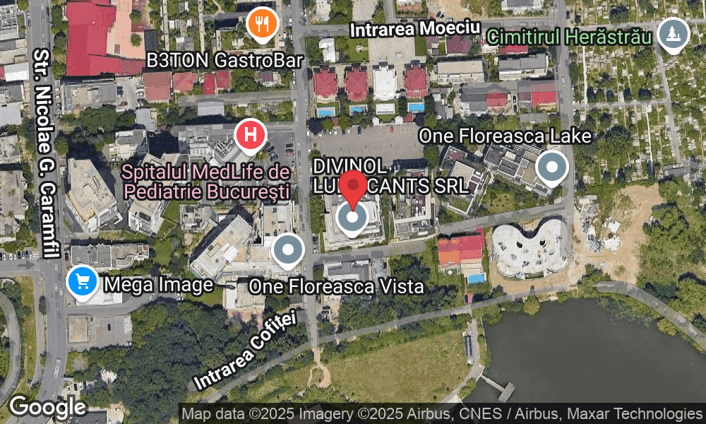 Strada Zăgazului 4, București 014262, Romania