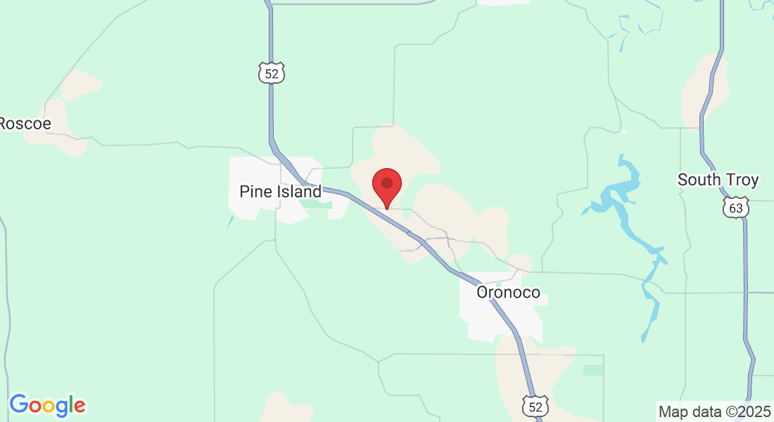 829 Rolling View Ln SE, Pine Island, MN 55963, USA