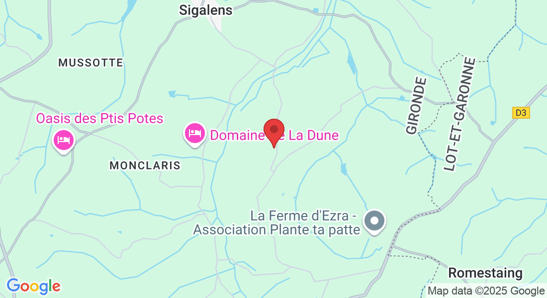 363 Rte du This, 33690 Grignols, France