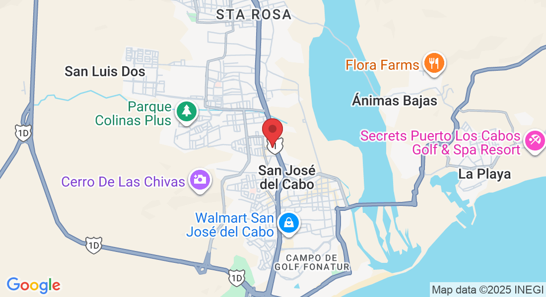 Prof.ª Ángela Ceseña entre carretera transpeninsular y barlovento, El Rosarito, 23407 San José del Cabo, B.C.S., México