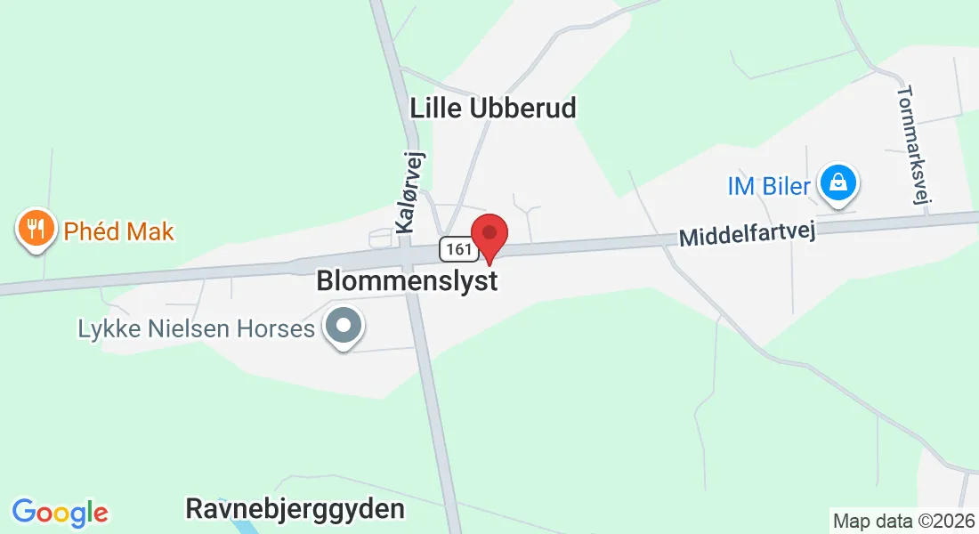 Middelfartvej 414, 5491 Blommenslyst, Danmark