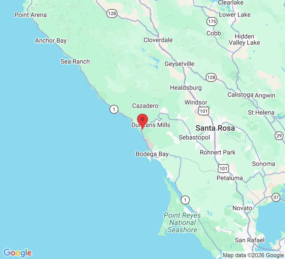 28955 Willow Creek Rd, Jenner, CA 95450, USA