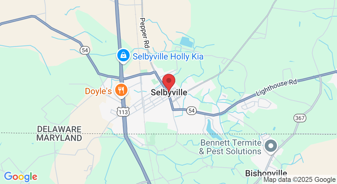 Selbyville, DE 19975, USA