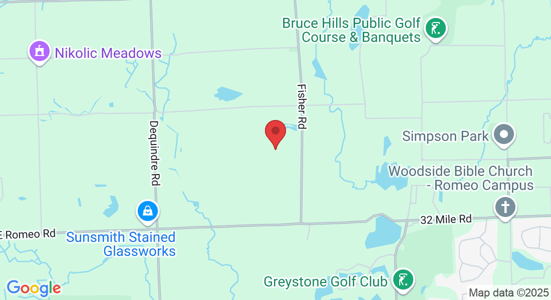 Detroit Metropolitan Area, MI, USA