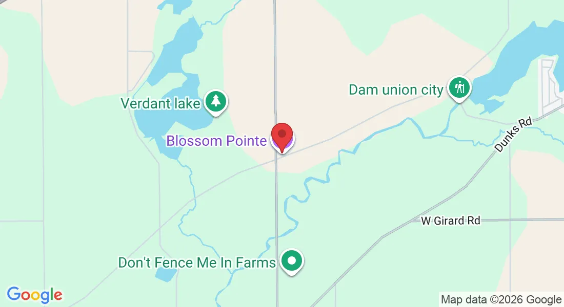 994 Blossom Rd, Sherwood, MI 49089, EE. UU.