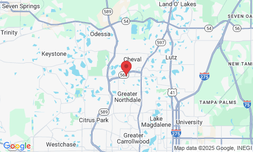 4929 Van Dyke Rd, Lutz, FL 33558, USA