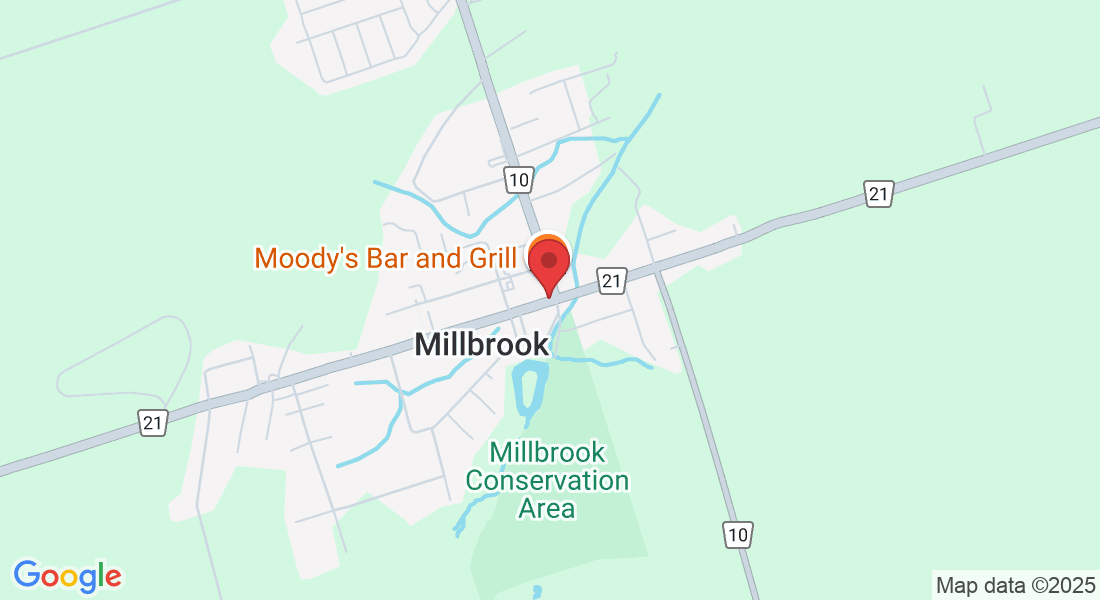 40 King St E, Millbrook, ON L0A 1G0, Canada