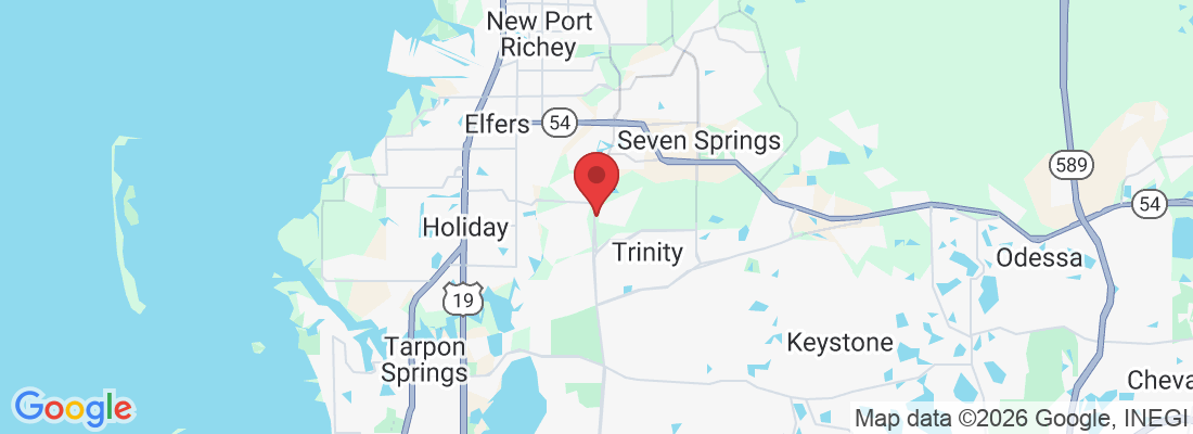 2150 Seven Springs Blvd, Trinity, FL 34655, USA