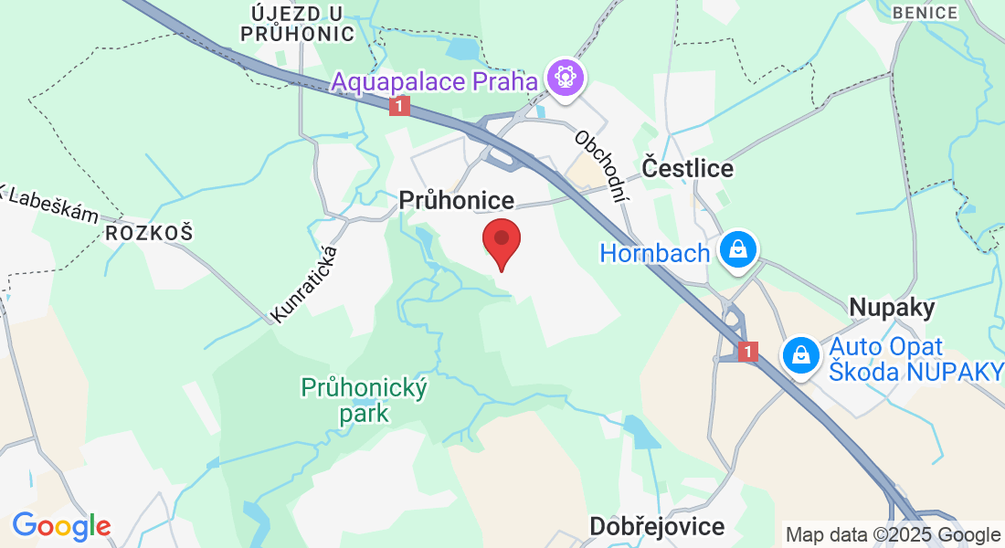 Šeříková 417, 252 43 Průhonice, Czechia