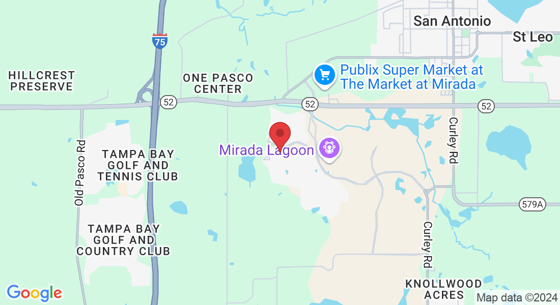 10705 Tally Fawn Loop, Florida 33545, USA