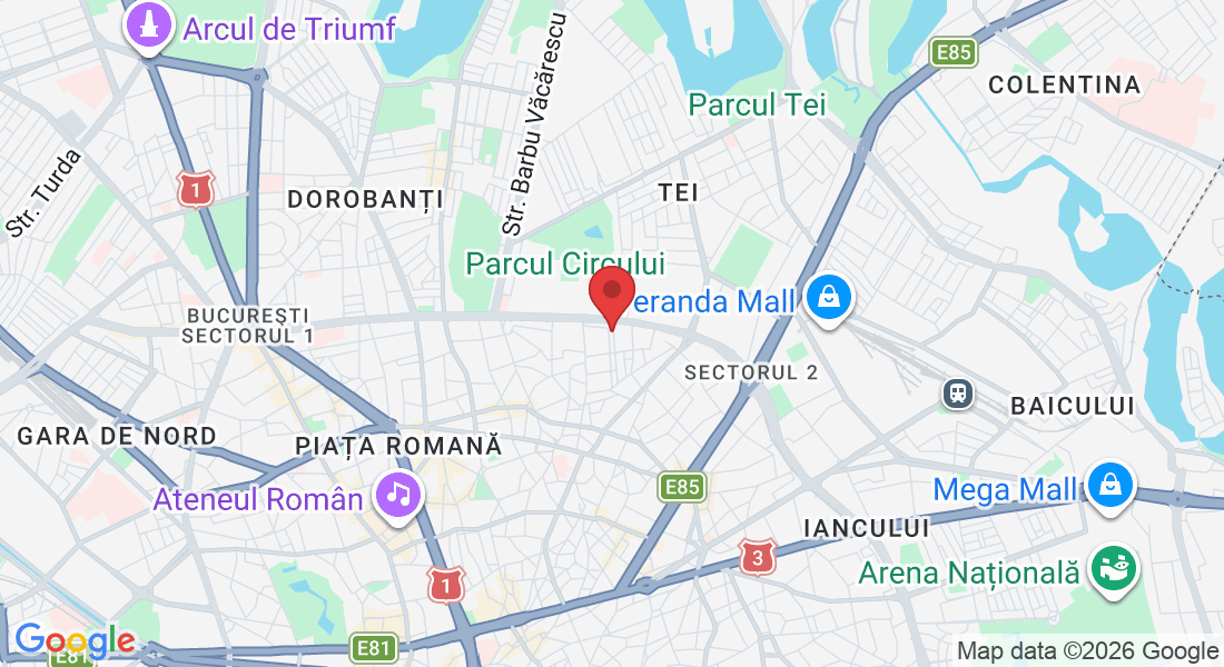 Strada Viesparilor 51, București 020642, România