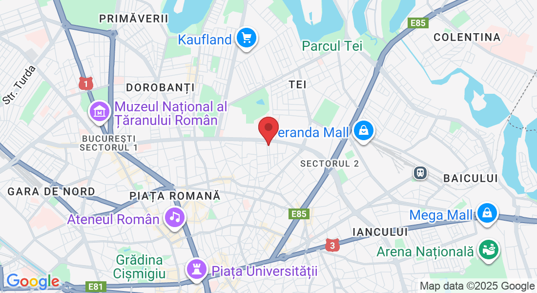 Strada Viesparilor 51, București 020642, România