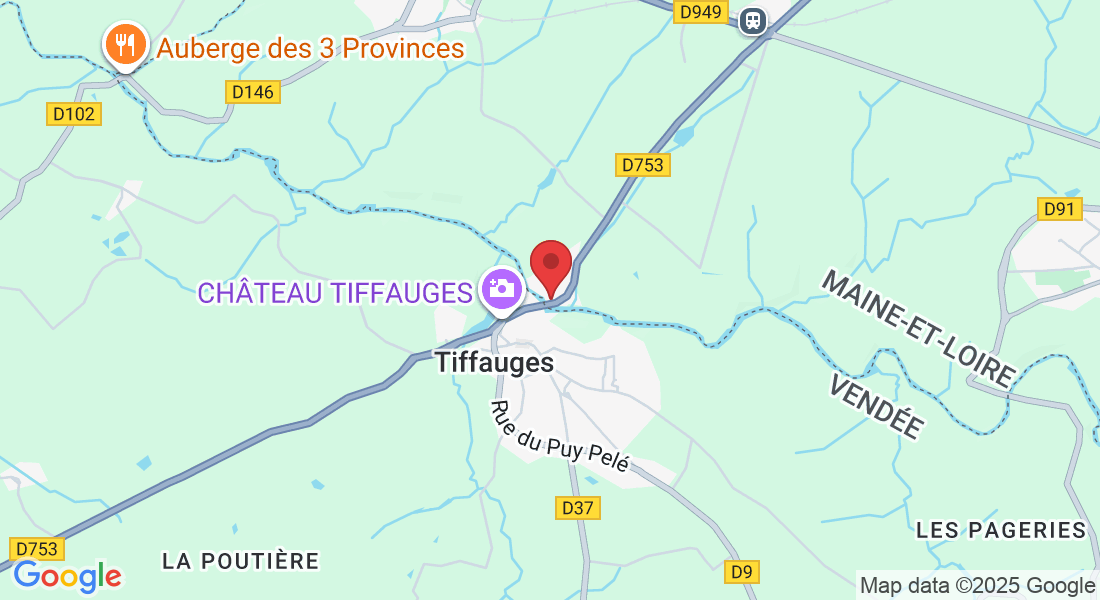 19 Rue du Vieux Pont, 49660 Sèvremoine, France