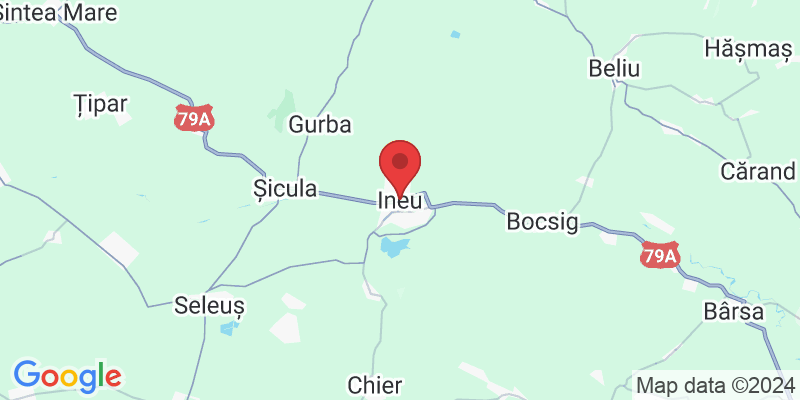 315300 Ineu, Romania