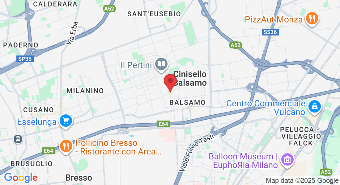 Via Giosuè Carducci, 3, 20092 Cinisello Balsamo MI, Italia