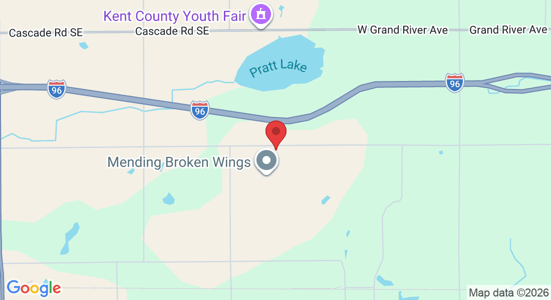 13912 52nd St SE, Lowell, MI 49331, USA