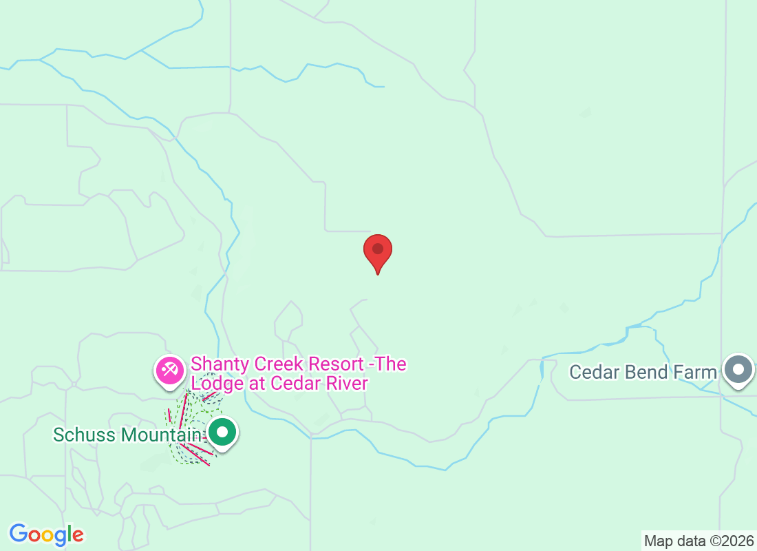 1074 Alm Ct, Bellaire, MI 49615, USA