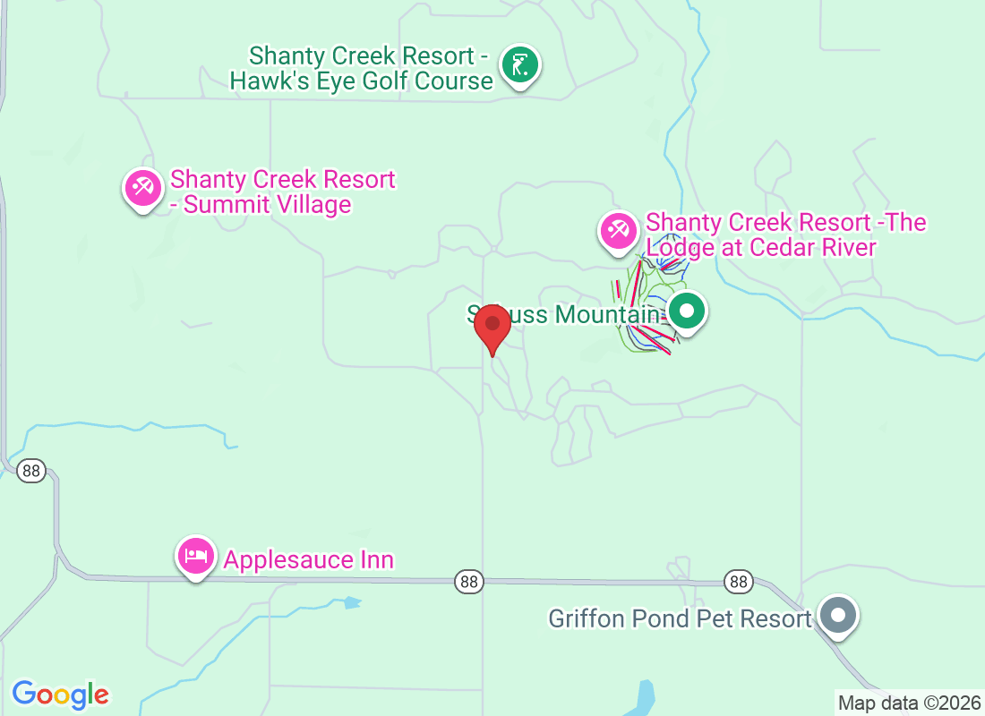 Courchevel Ln, Custer Township, MI 49615, USA