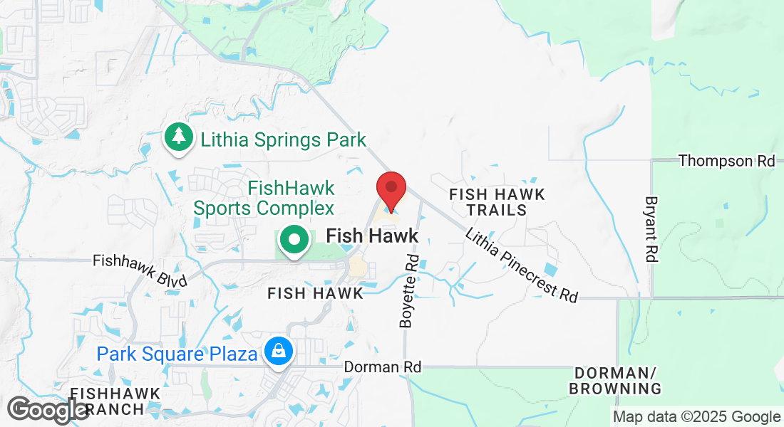 16641 Fishhawk Blvd, Lithia, FL 33547, USA
