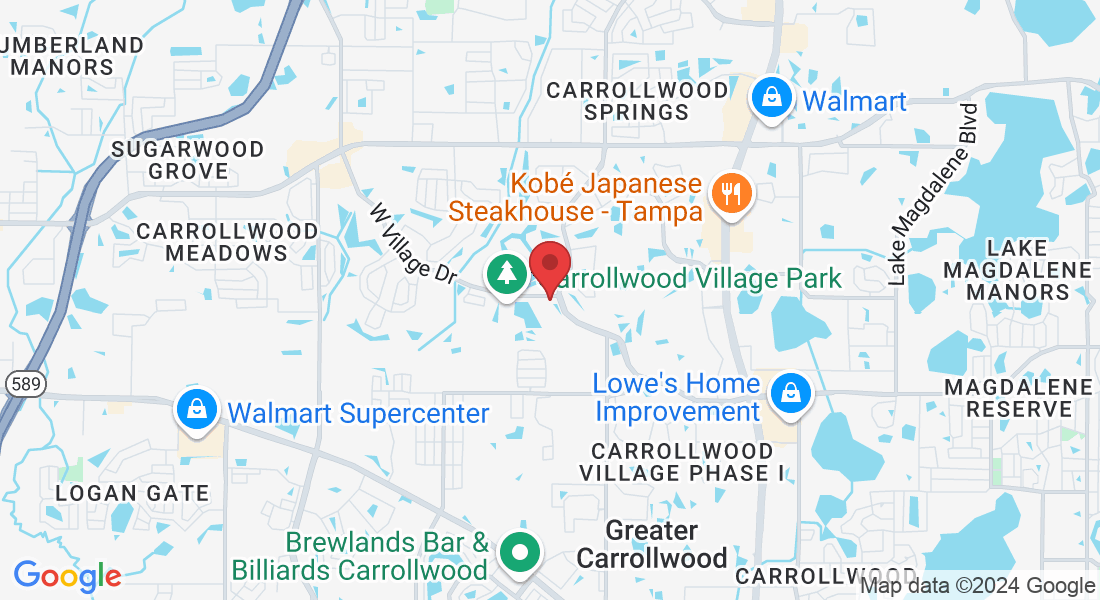 4522 W Village Dr, Tampa, FL 33624, USA