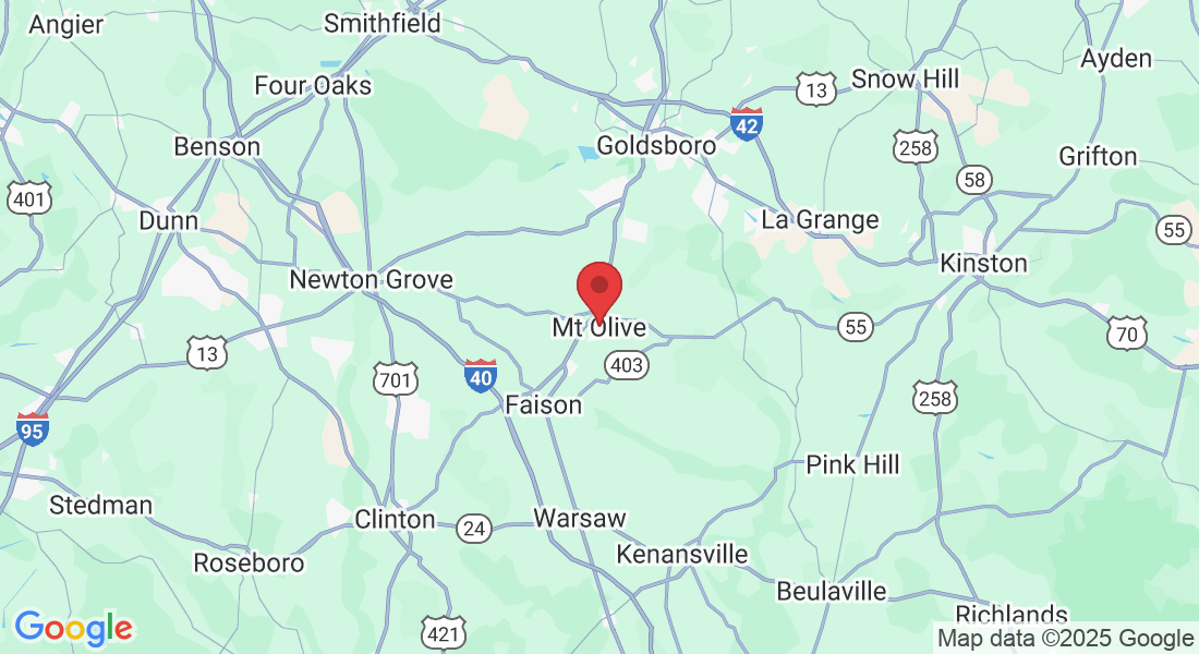 Mt Olive, NC 28365, USA