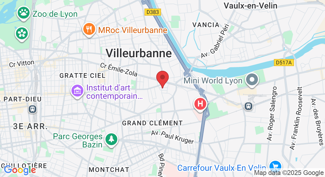 9 Rue Victor Basch, 69100 Villeurbanne, France