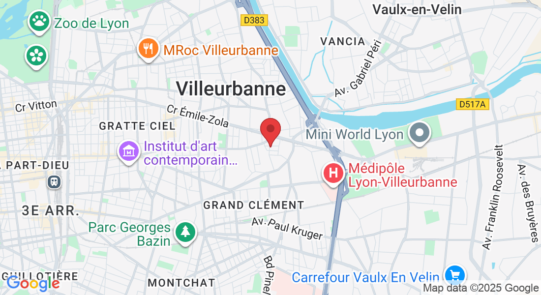 9 Rue Victor Basch, 69100 Villeurbanne, France