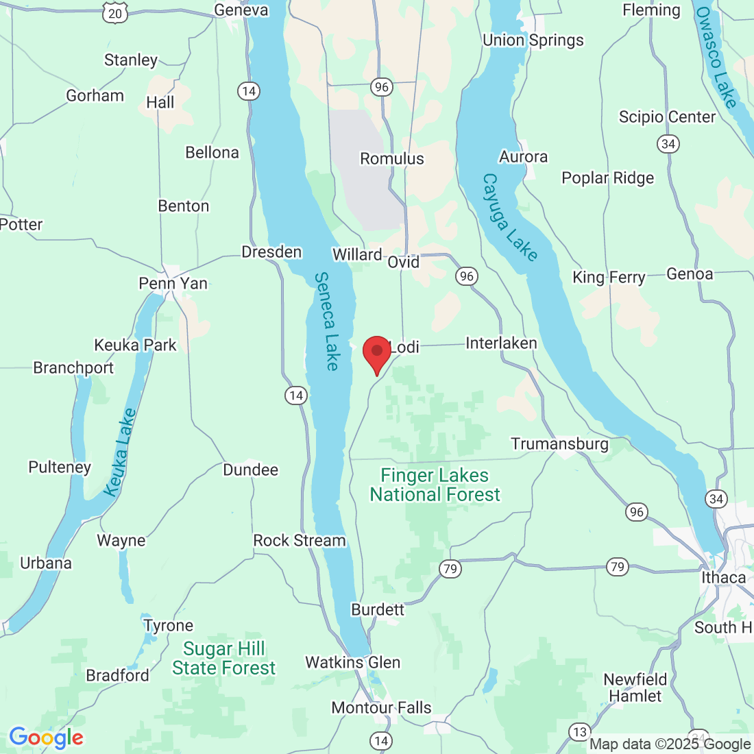 8927 Upper Lake Rd, Lodi, NY 14860, USA
