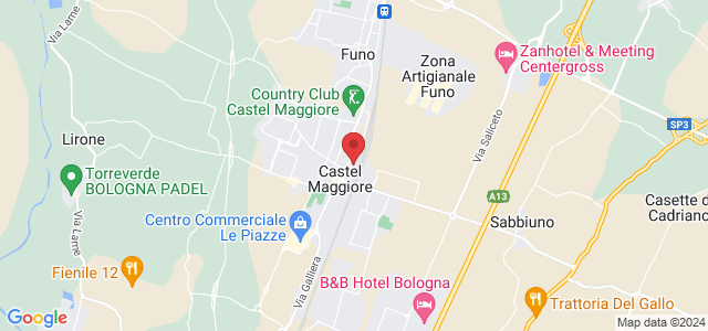 Via Gramsci, 205, 40013 Castel Maggiore BO, Italia