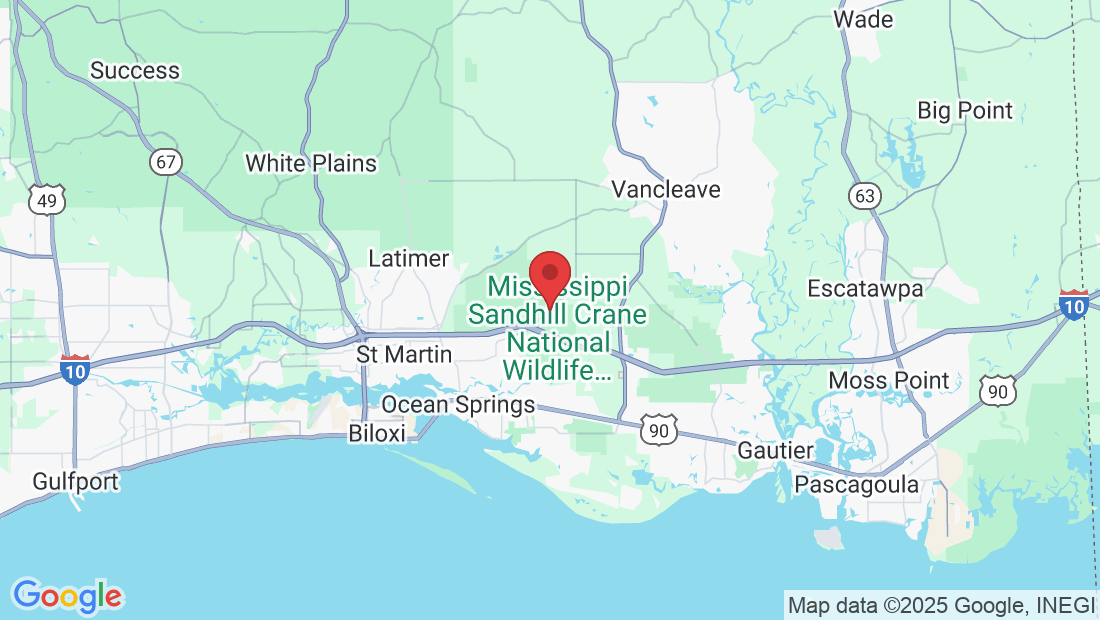 Old Fort Bayou Rd, Mississippi, USA